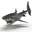 Tiger Shark Rigged