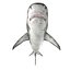 Tiger Shark Rigged