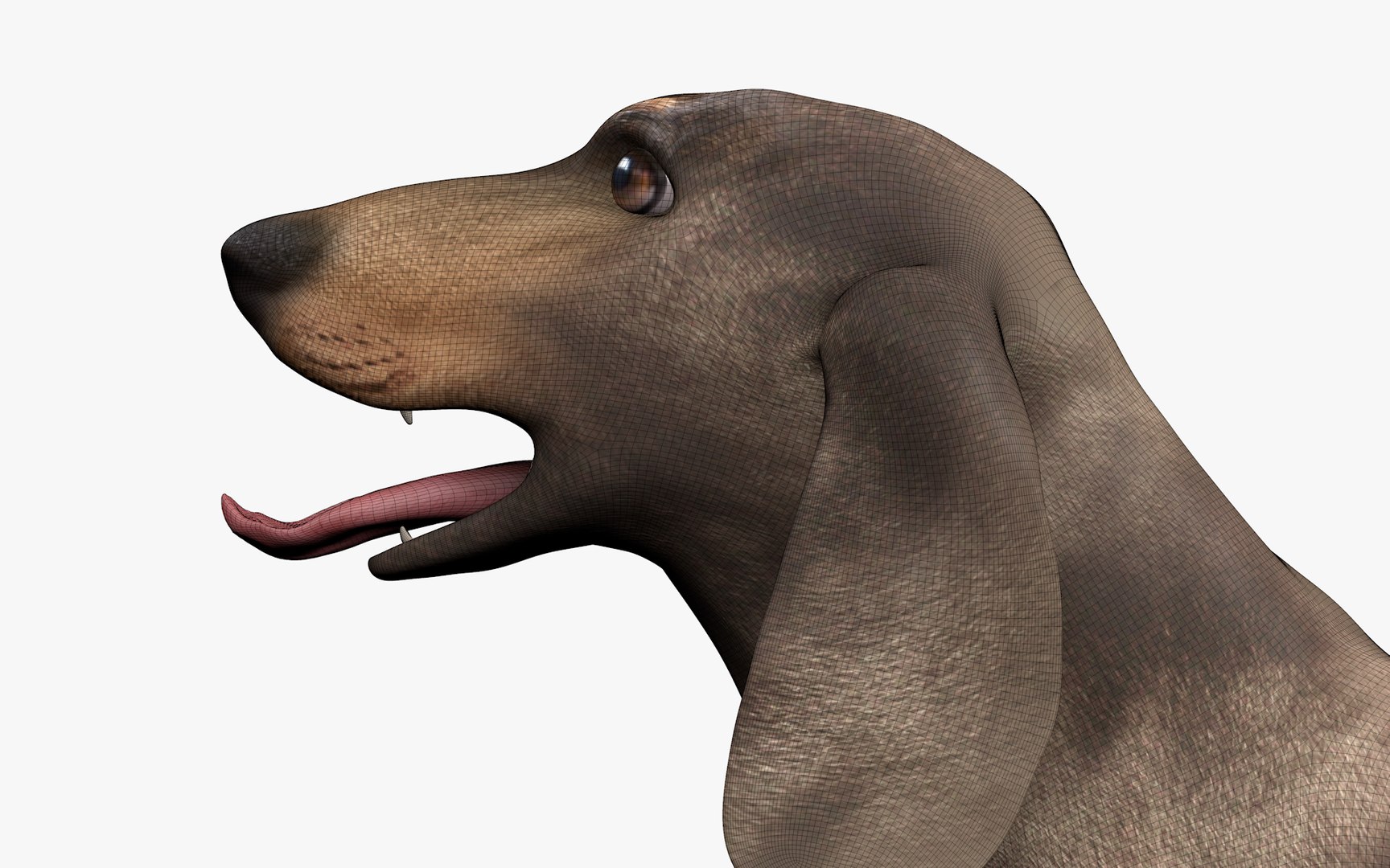 Dachshund Rigged L1799 3D https://p.turbosquid.com/ts-thumb/Nk/uob08C/2k/19_0012/png/1663622108/1920x1080/fit_q87/0fa727fc4f73274641892494f8af8b875ed1538c/19_0012.jpg