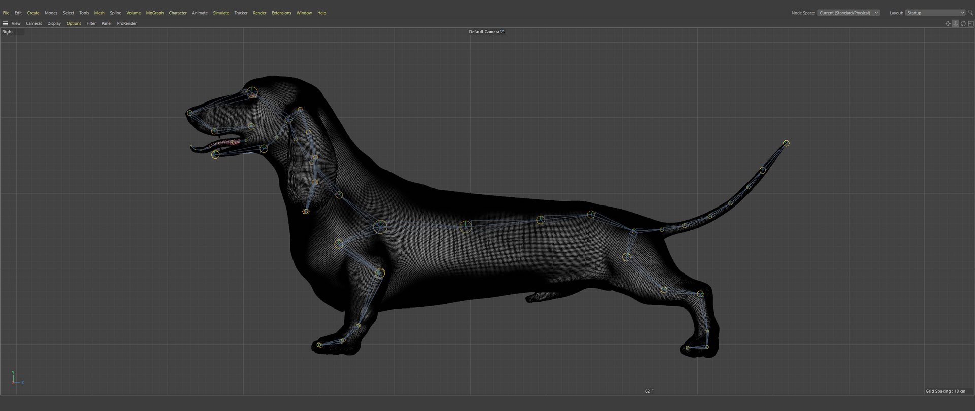 Dachshund Rigged L1799 3D https://p.turbosquid.com/ts-thumb/Nk/uob08C/2n/216/png/1663622156/1920x1080/fit_q87/bcbe852bd7ae001d93dbee8e19da1950793f54c6/216.jpg