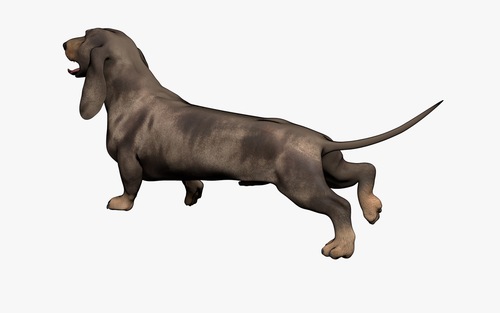 Dachshund Rigged L1799 3D https://p.turbosquid.com/ts-thumb/Nk/uob08C/4P/13_0012/png/1663622103/1920x1080/fit_q87/79d30e420db8ccf314311f4662c05260772171bf/13_0012.jpg
