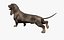 Dachshund Rigged L1799