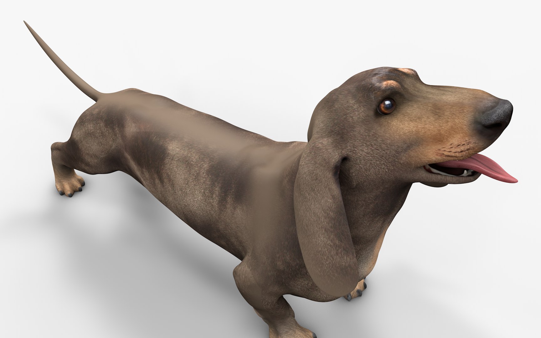 Dachshund Rigged L1799 3D https://p.turbosquid.com/ts-thumb/Nk/uob08C/8j/04_i3/png/1663622091/1920x1080/fit_q87/cfd42132852a714dc9ba48ca5886f27c36d6d8f1/04_i3.jpg