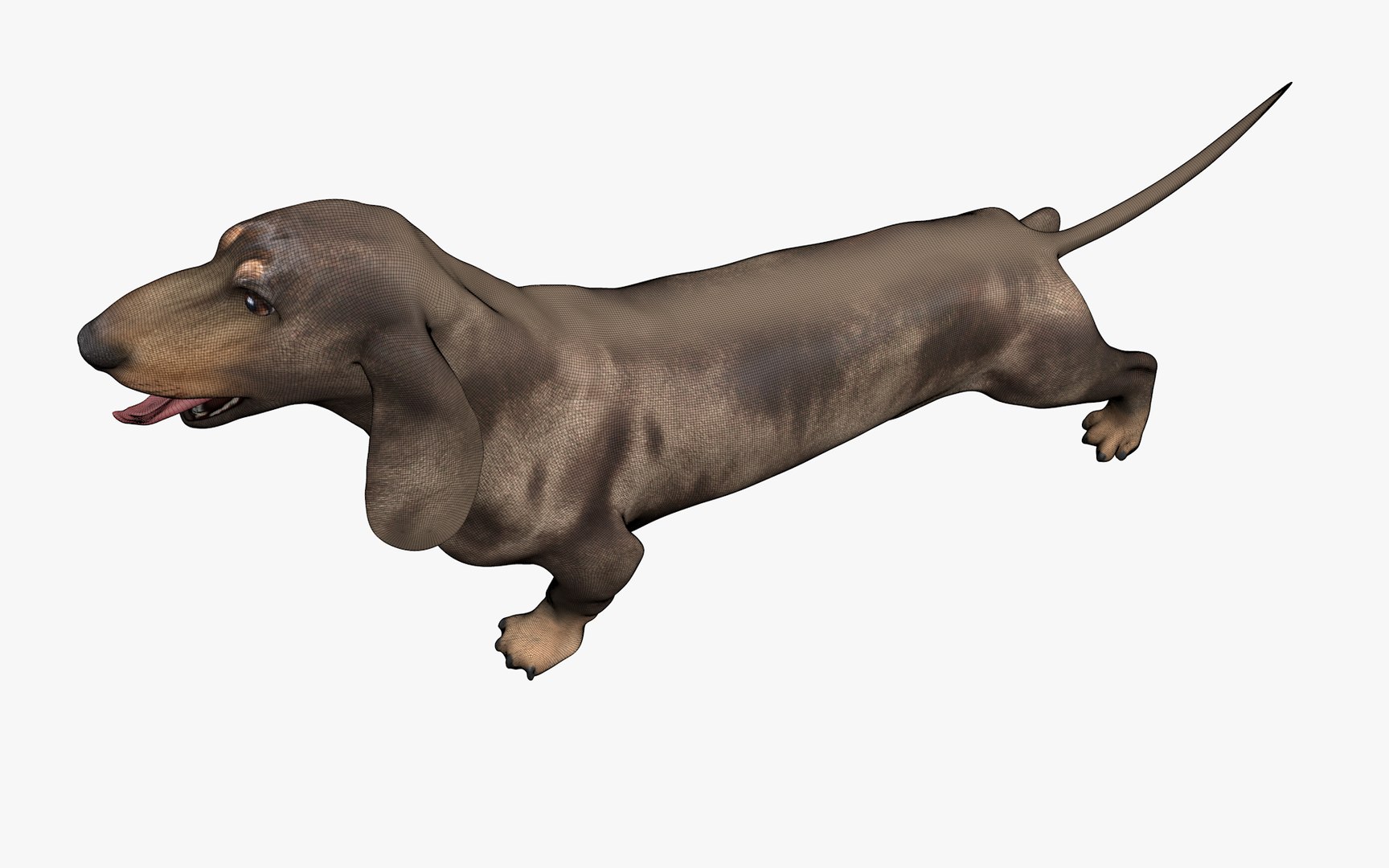 Dachshund Rigged L1799 3D https://p.turbosquid.com/ts-thumb/Nk/uob08C/Be/20_0012/png/1663622107/1920x1080/fit_q87/31a9618a22f68620303c9aa7b79e01cdc77fc7f9/20_0012.jpg
