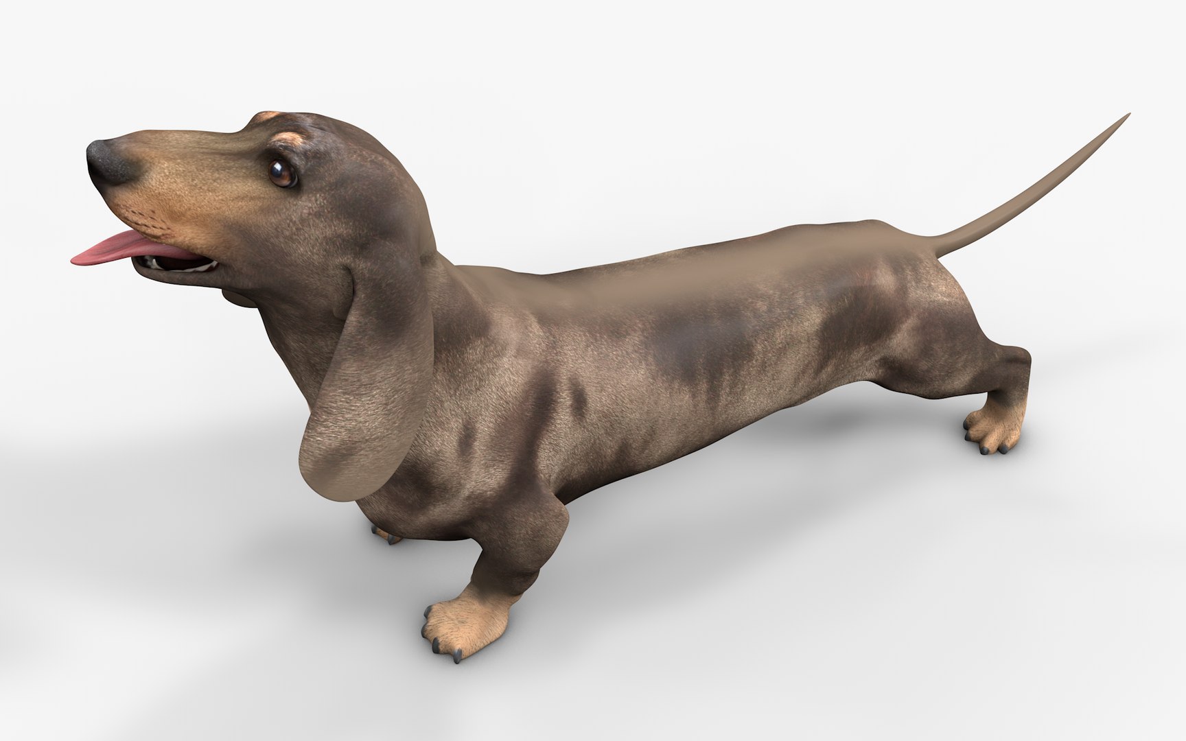 Dachshund Rigged L1799 3D https://p.turbosquid.com/ts-thumb/Nk/uob08C/Ey/15_i14/png/1663622103/1920x1080/fit_q87/8ea91d1e5b41f481f7d76dbdb3f42707b82c3784/15_i14.jpg