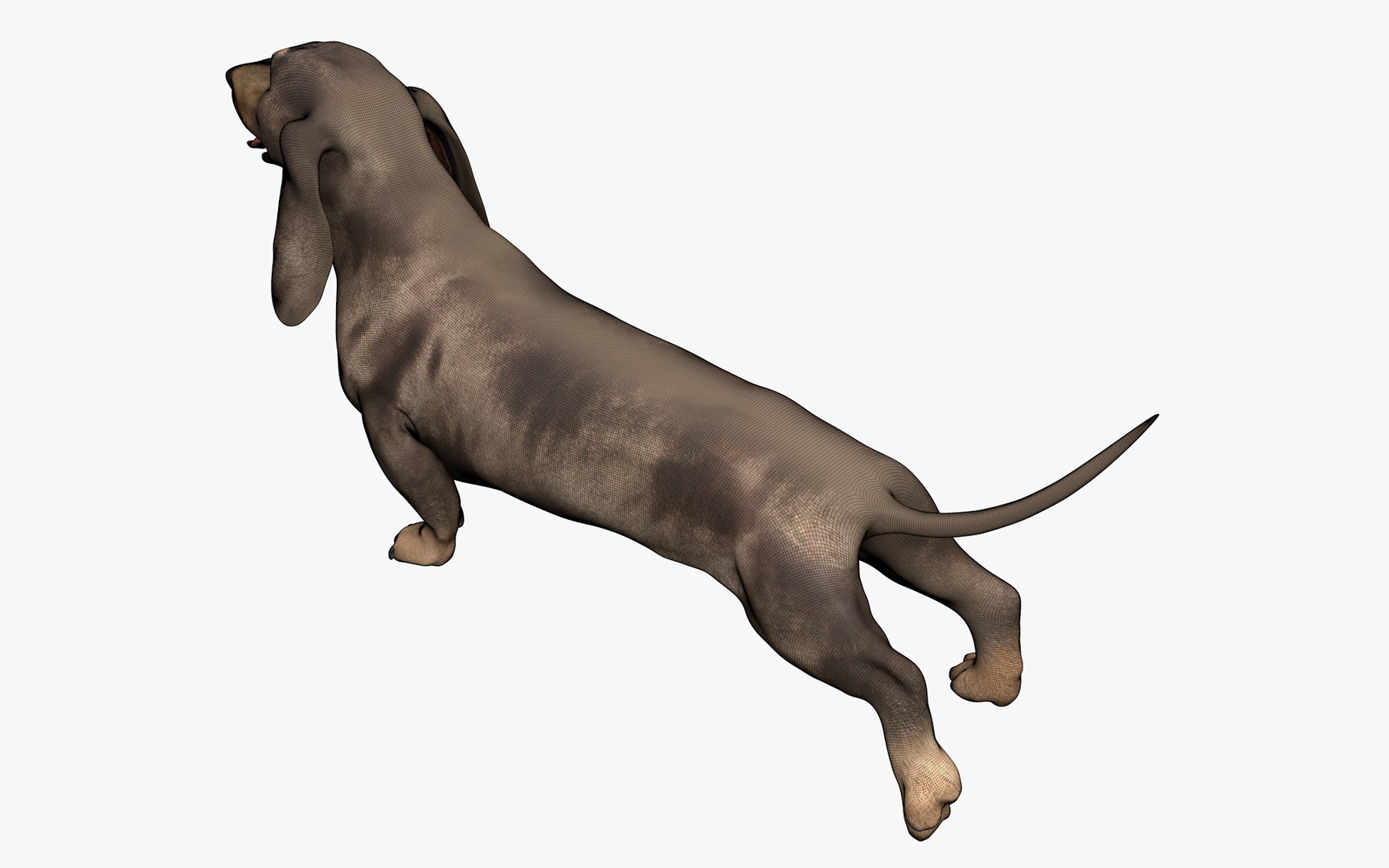Dachshund Rigged L1799 3D https://p.turbosquid.com/ts-thumb/Nk/uob08C/HI/07_0040/png/1663622096/1920x1080/fit_q87/e4fb4b31be7f3ad4c09d8b25d1fa70491088d8dc/07_0040.jpg