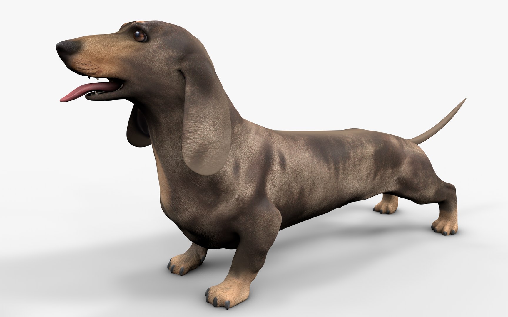 Dachshund Rigged L1799 3D https://p.turbosquid.com/ts-thumb/Nk/uob08C/Lo/08_i7/png/1663622097/1920x1080/fit_q87/bc59820a9846cc5ce89f230f55bcd8cf8c565c9c/08_i7.jpg