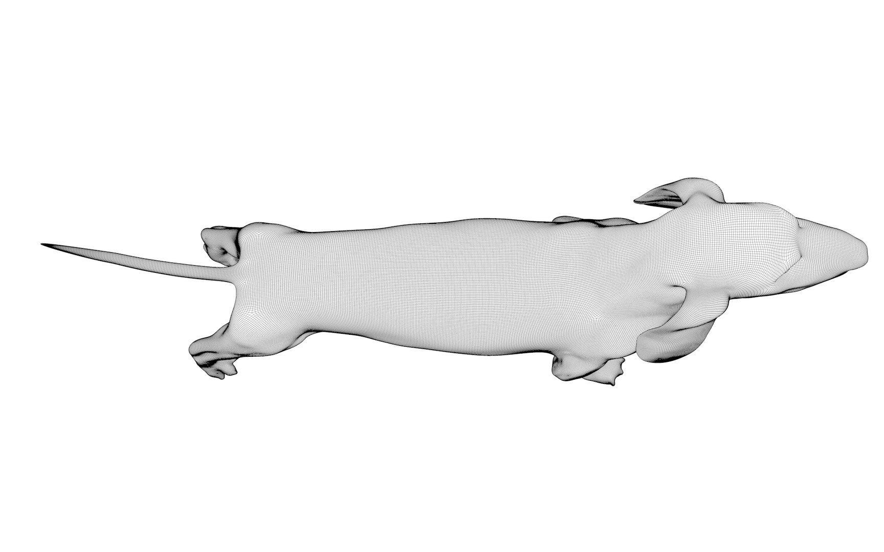 Dachshund Rigged L1799 3D https://p.turbosquid.com/ts-thumb/Nk/uob08C/RW/205_0062/png/1663622143/1920x1080/fit_q87/f27c61ba581189fbcd317de07b3618eb8b4fc50a/205_0062.jpg