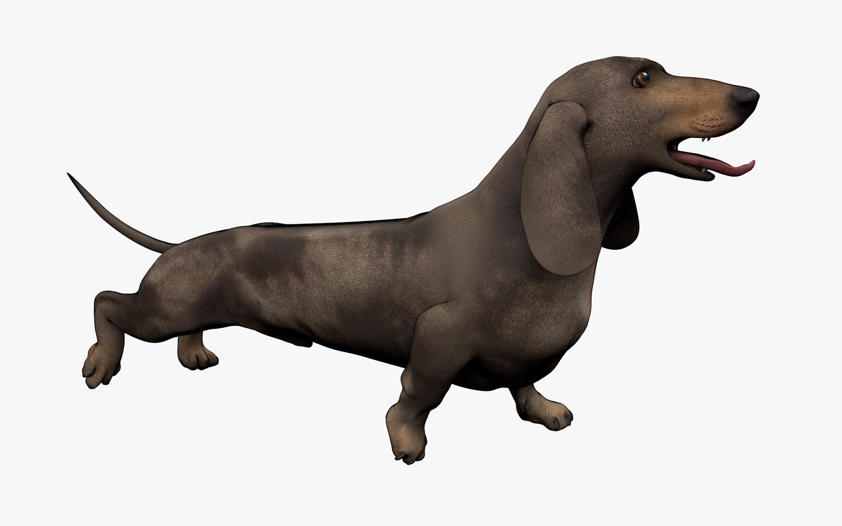 Dachshund Rigged L1799 3D https://p.turbosquid.com/ts-thumb/Nk/uob08C/b8/14_0012/png/1663622103/1920x1080/fit_q87/bec25394f8324ca5b5e6f085b6dc096cd429417b/14_0012.jpg