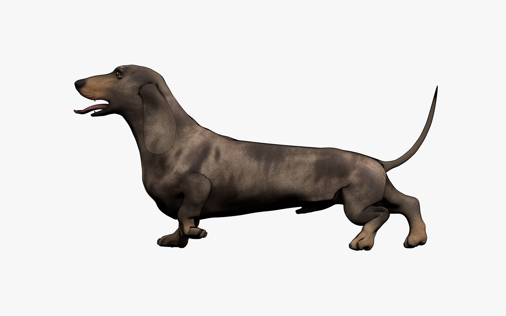 Dachshund Rigged L1799 3D https://p.turbosquid.com/ts-thumb/Nk/uob08C/cc/17_0007/png/1663622104/1920x1080/fit_q87/7d088c80a68b3ae9eeddd97eb654e51c1462d223/17_0007.jpg
