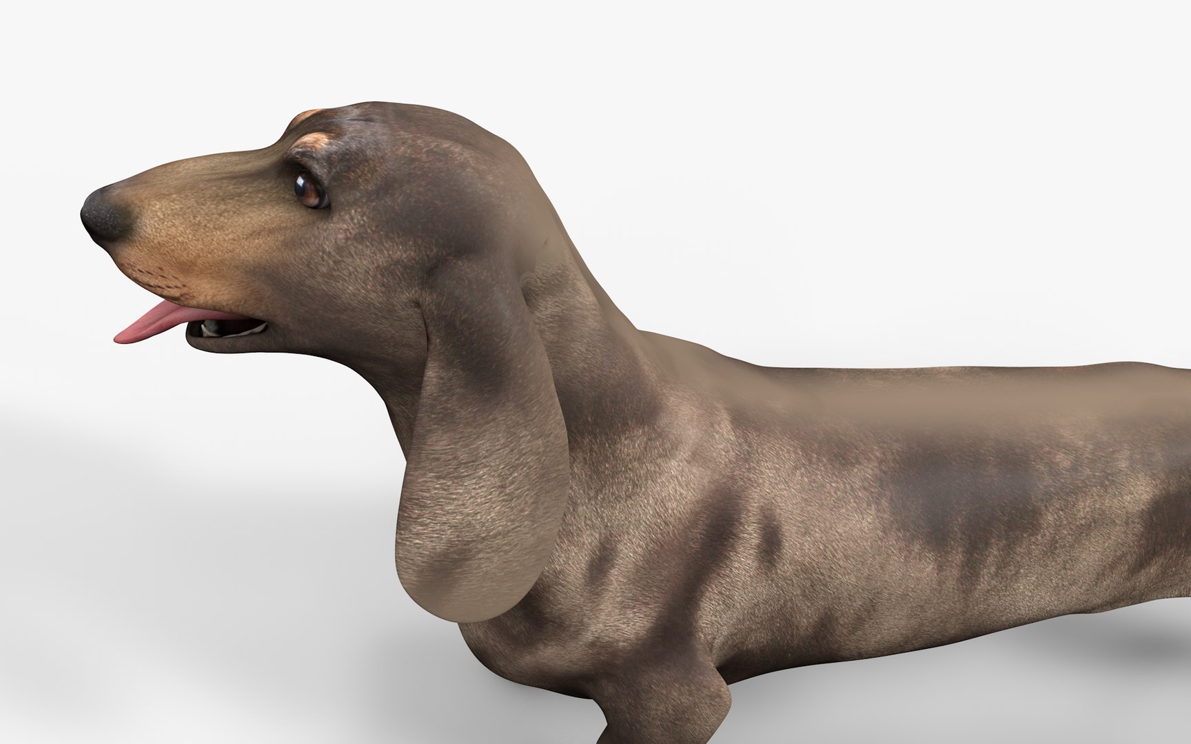 Dachshund Rigged L1799 3D https://p.turbosquid.com/ts-thumb/Nk/uob08C/eR/05/png/1663622094/1920x1080/fit_q87/44690607c1a405ee59f0c213178f8fffad520c4f/05.jpg
