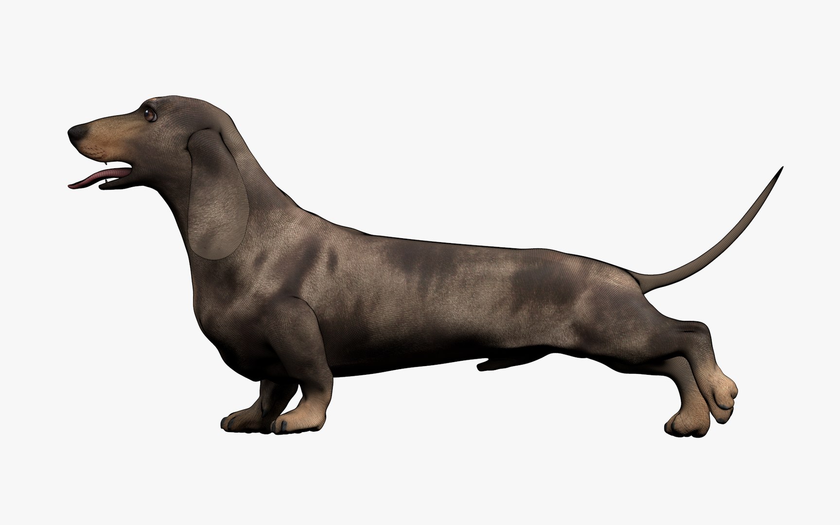 Dachshund Rigged L1799 3D https://p.turbosquid.com/ts-thumb/Nk/uob08C/lP/06_0040/png/1663622095/1920x1080/fit_q87/47122e18147dabbd0019789e2fcc73dd82614869/06_0040.jpg