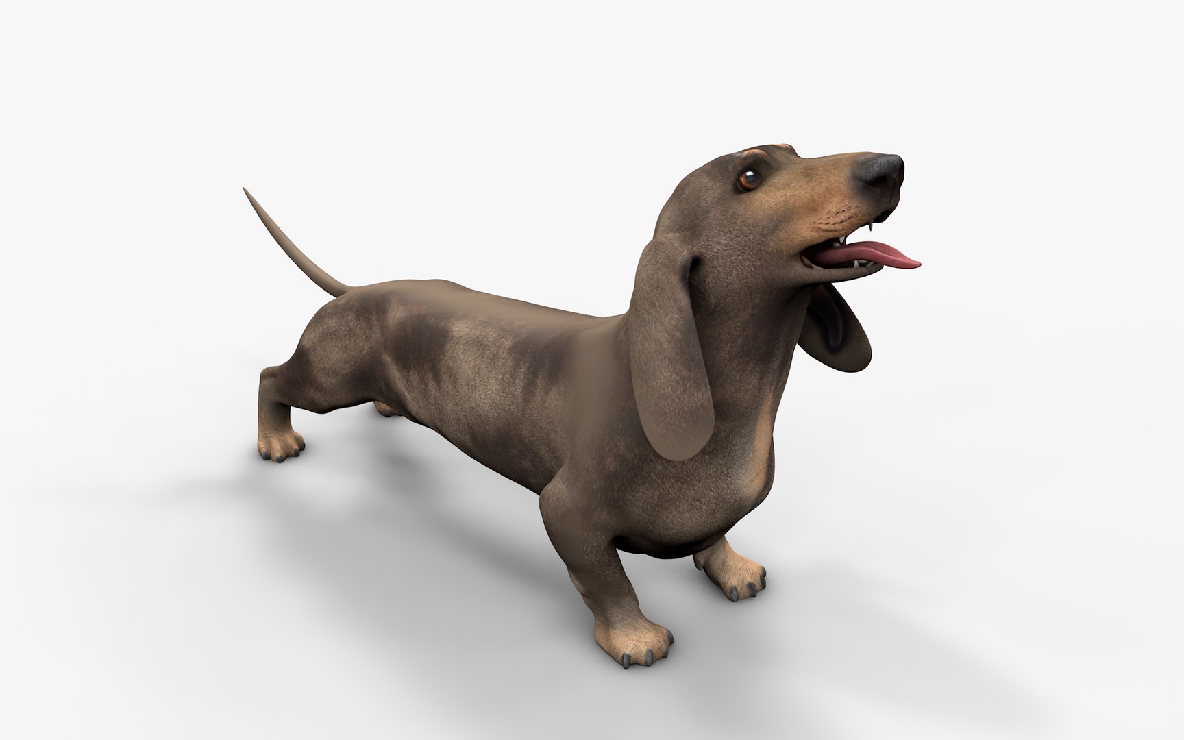 Dachshund Rigged L1799 3D https://p.turbosquid.com/ts-thumb/Nk/uob08C/uq/03_i2/png/1663622094/1920x1080/fit_q87/c133e0910797190a7ea5181a16f64cf5afc9f48d/03_i2.jpg