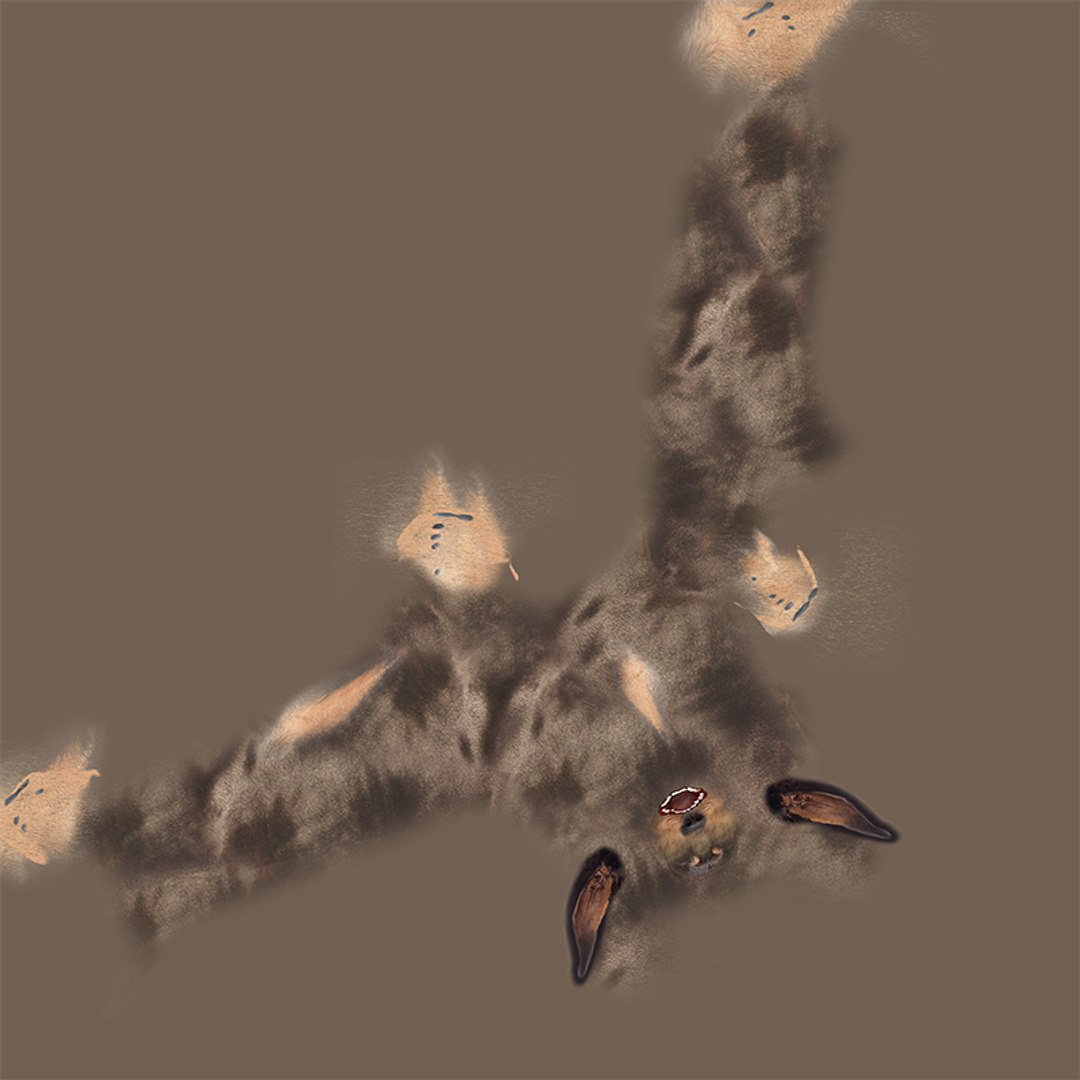 Dachshund Rigged L1799 3D https://p.turbosquid.com/ts-thumb/Nk/uob08C/wT/uv/png/1663622107/1920x1080/fit_q87/001c1e7fa78c5d7539c491abcb83e0782b78d5b7/uv.jpg