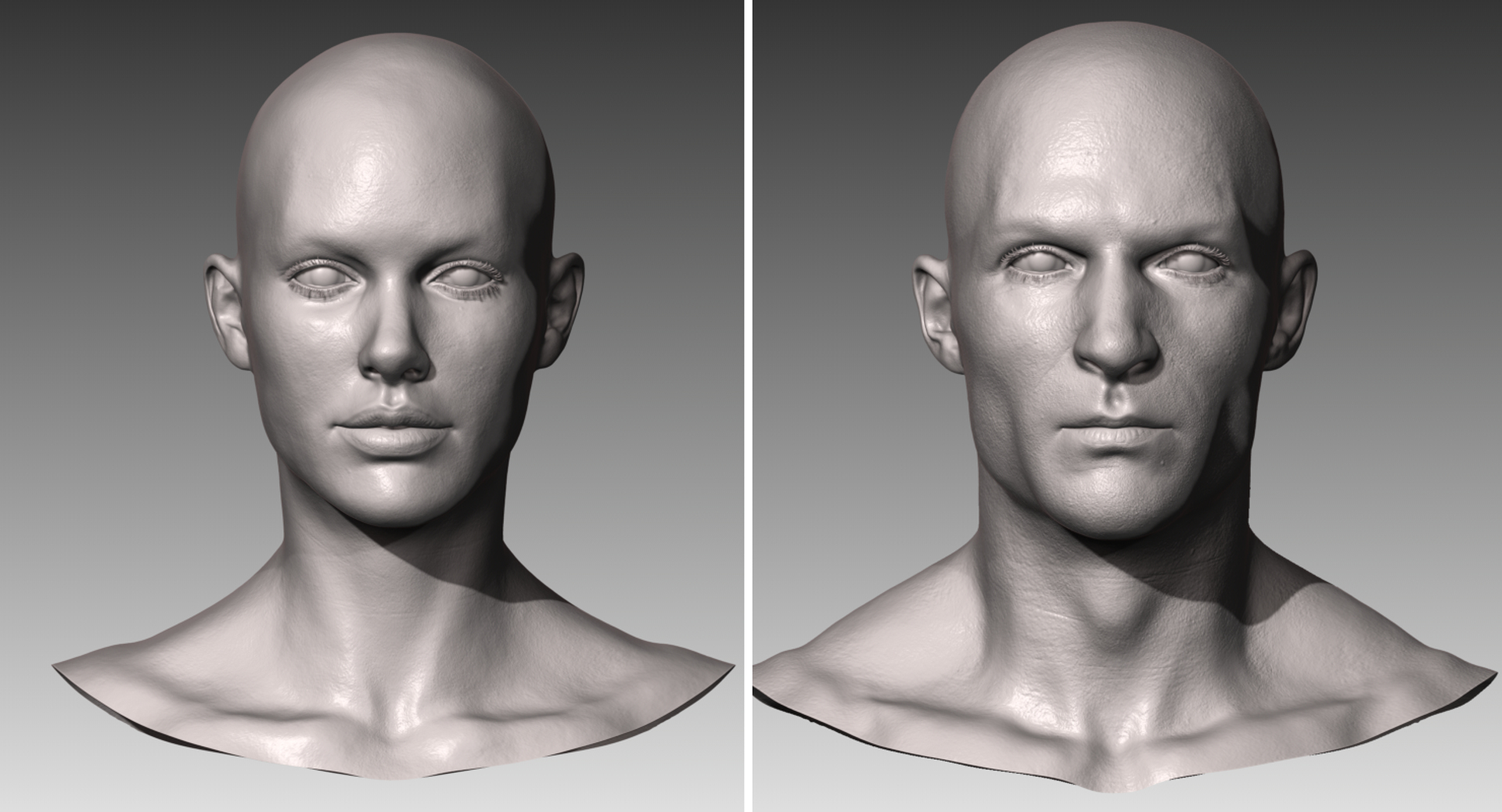 Зд лица. Збраш 3д. Модель головы. Моделирование головы. Модель лица человека.