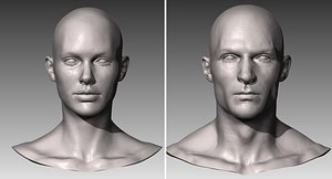 Realistic White Male and Female Head Bundle