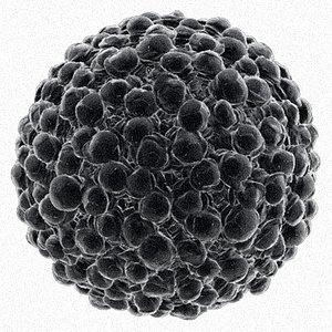 Pollen 01