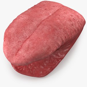 Tongue Realistic