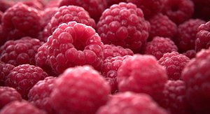 raspberry fruit 3d model