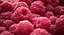 Raspberry