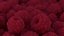 Raspberry