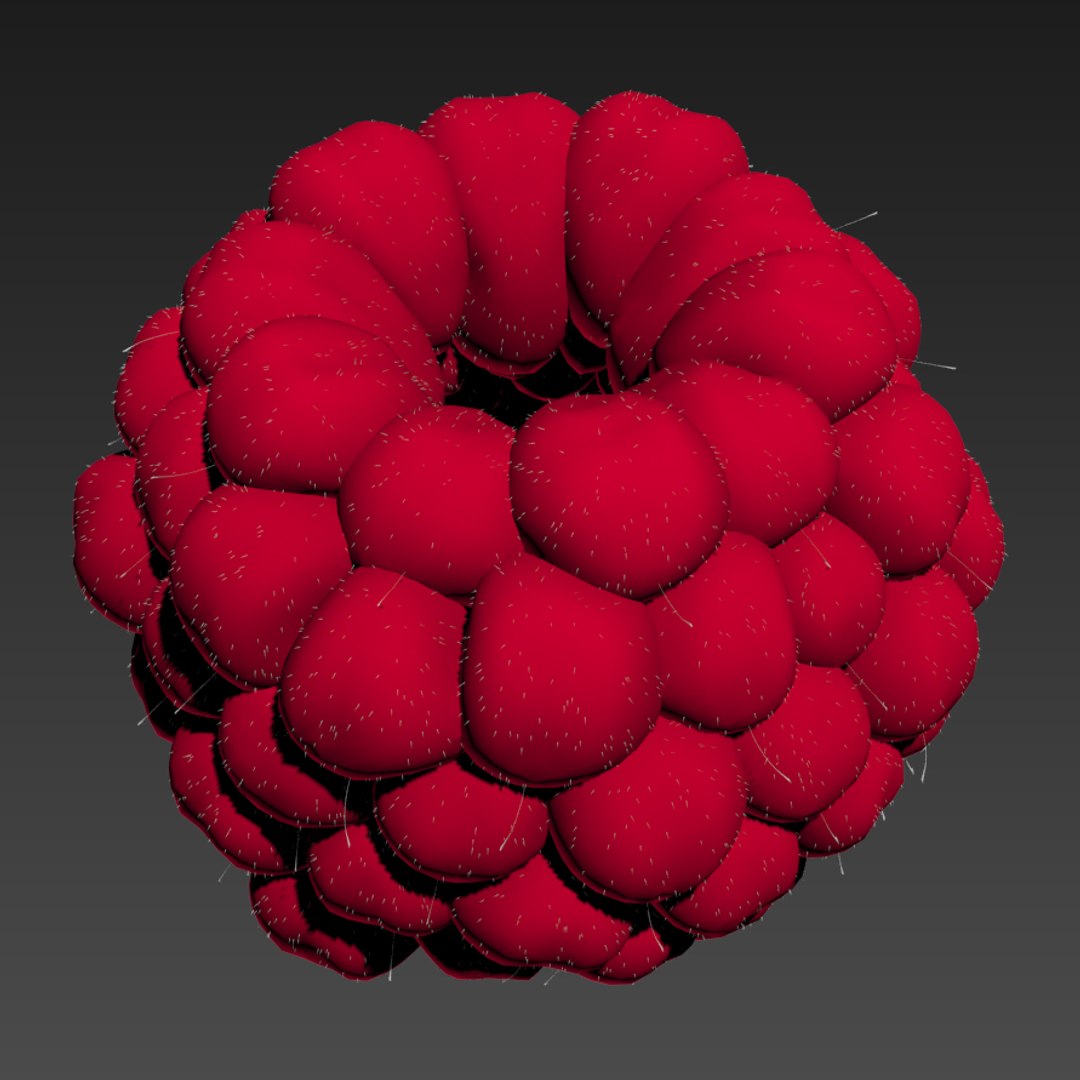 raspberry fruit 3d model https://p.turbosquid.com/ts-thumb/Nl/IlIRfN/odiwZ70a/thumbnail_shaded/jpg/1423667641/1920x1080/fit_q87/d6b0280c904491844146ed6fcfad3a0005aade1b/thumbnail_shaded.jpg
