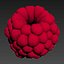 Raspberry