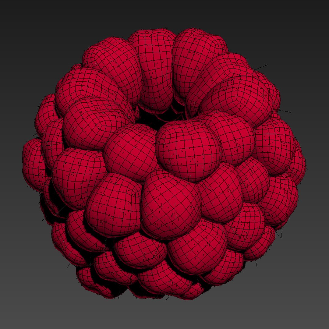 raspberry fruit 3d model https://p.turbosquid.com/ts-thumb/Nl/IlIRfN/qZ2P9ct8/thumbnail_wire/jpg/1423667641/1920x1080/fit_q87/344ebfb61eb7539f2fa0195b2ae8b2bd561206f6/thumbnail_wire.jpg
