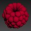 Raspberry