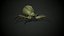 Spider insect2 3D model