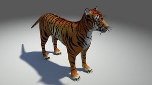 Tiger