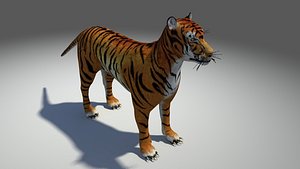 Tiger