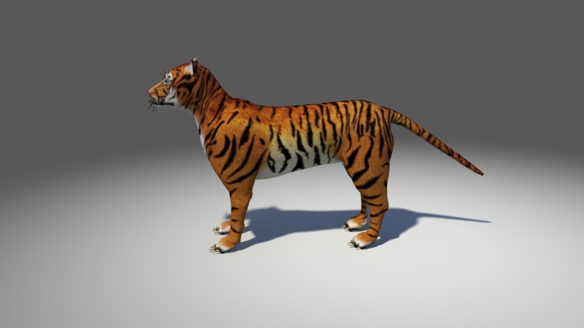 tiger ma https://p.turbosquid.com/ts-thumb/Nl/W95ZXE/gJLcZ3sW/7/jpg/1462614454/1920x1080/fit_q87/b63df505cac75cb88948f4f804de0e45c6f13b54/7.jpg