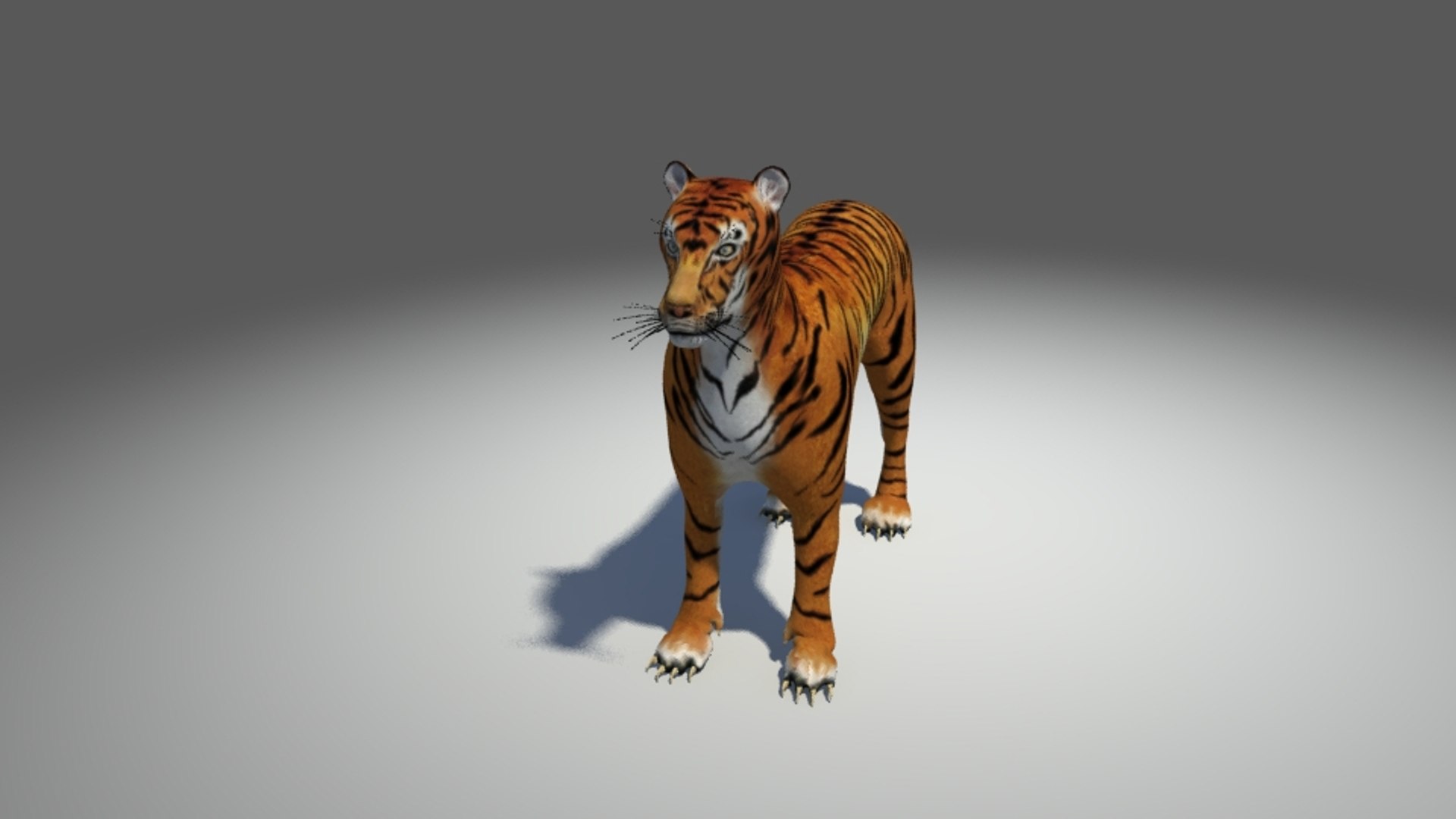 tiger ma https://p.turbosquid.com/ts-thumb/Nl/W95ZXE/gcmX1EhX/6/jpg/1462614454/1920x1080/fit_q87/4b244ac6f5fa8fe7af11ac9446c1e88c82554fc2/6.jpg