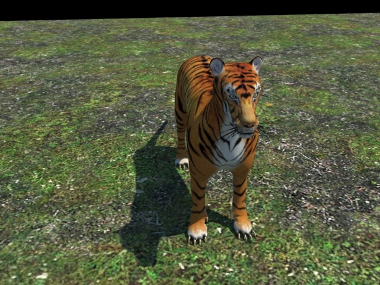 tiger ma https://p.turbosquid.com/ts-thumb/Nl/W95ZXE/qlptRJA2/2/jpg/1462614454/1920x1080/fit_q87/dd92ef684f4e424ea72e22342633e5f8a1af4a88/2.jpg
