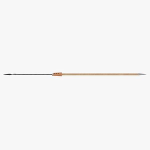 Roman Javelin