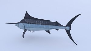 fishs collection