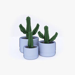 3D Cactus in a pot