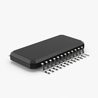 Microchip 2