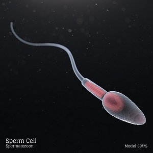 3D microbes bacteria cells