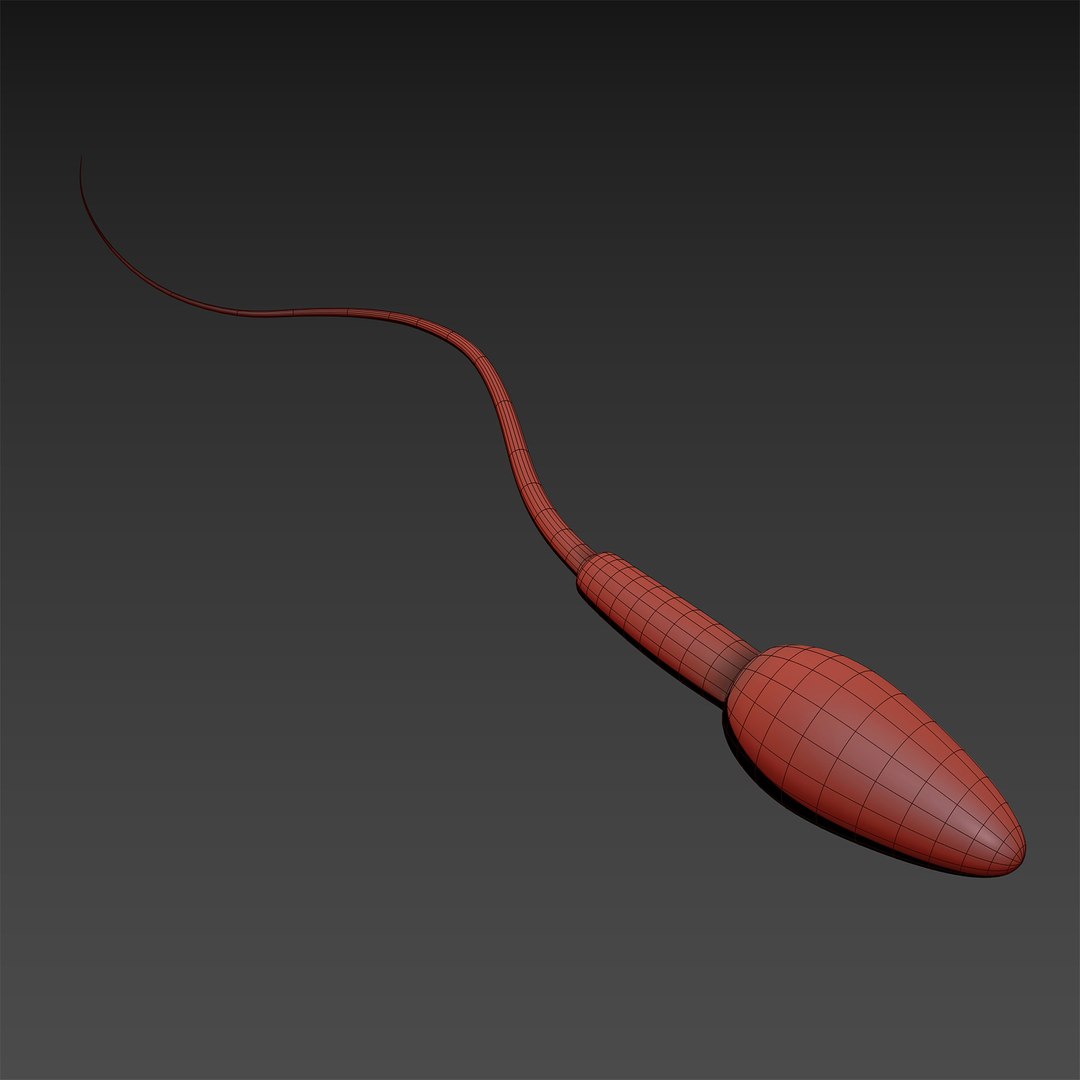 3D microbes bacteria cells https://p.turbosquid.com/ts-thumb/Nl/lSZeEP/mwwKduVB/spermcellspermatozoon_04/jpg/1601879311/1920x1080/fit_q87/ad0169ca22116eb24551e00cdfaaa02dc1156516/spermcellspermatozoon_04.jpg