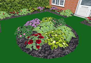 Garden Flowers and Plants