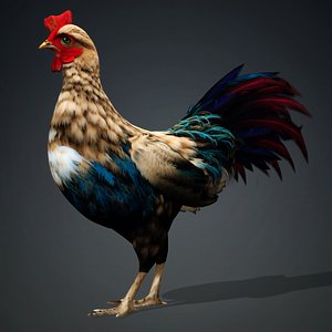 3D Chicken-A4 model