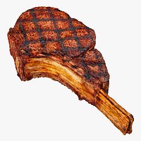 BBQ Beef Ribeye Steak 3D Model