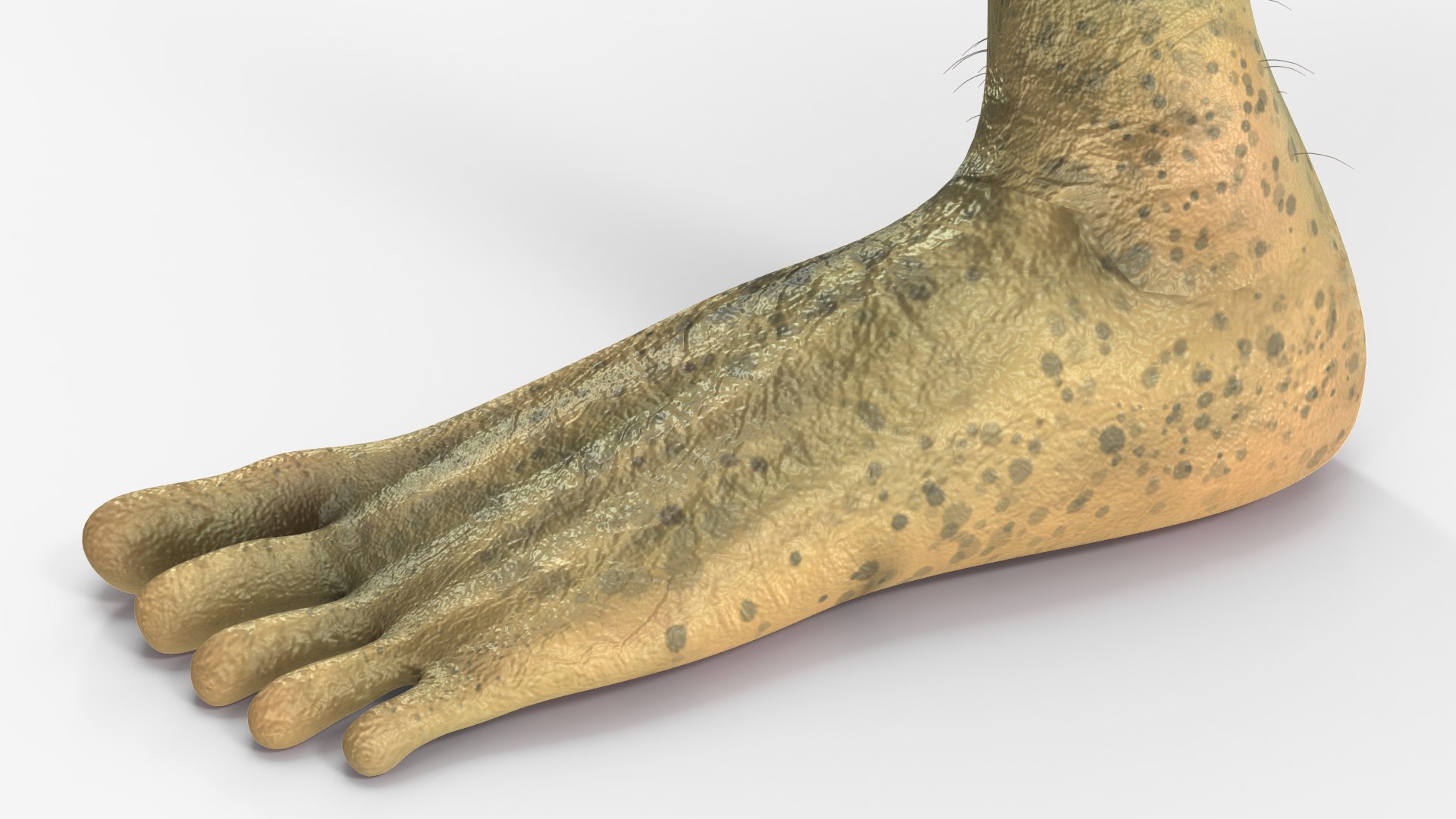 Space Aliens Collection 2 model https://p.turbosquid.com/ts-thumb/Nm/1I9Hwv/Eb/spacealienscollection23dsmodel013/jpg/1656951655/1920x1080/fit_q87/9b9c44f2a09fabb2ab4e23a13b12f7ab4ef8e9ae/spacealienscollection23dsmodel013.jpg