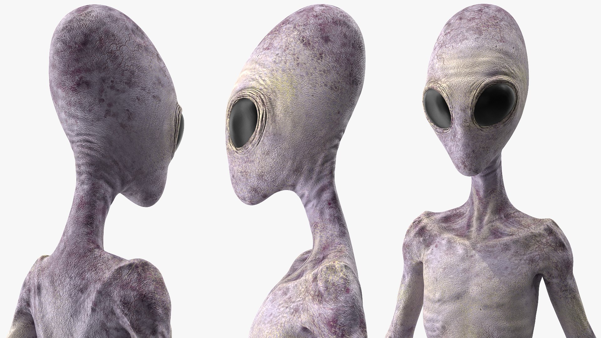 Space Aliens Collection 2 model https://p.turbosquid.com/ts-thumb/Nm/1I9Hwv/PI/spacealienscollection23dsmodel017/jpg/1656951668/1920x1080/fit_q87/6d37fa13ff6c57adbba9eebbcc37224bdcdaf31c/spacealienscollection23dsmodel017.jpg