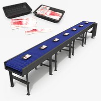 Straight Food Conveyor with Meat Packages on Belt