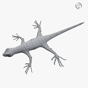 gekko lizard model