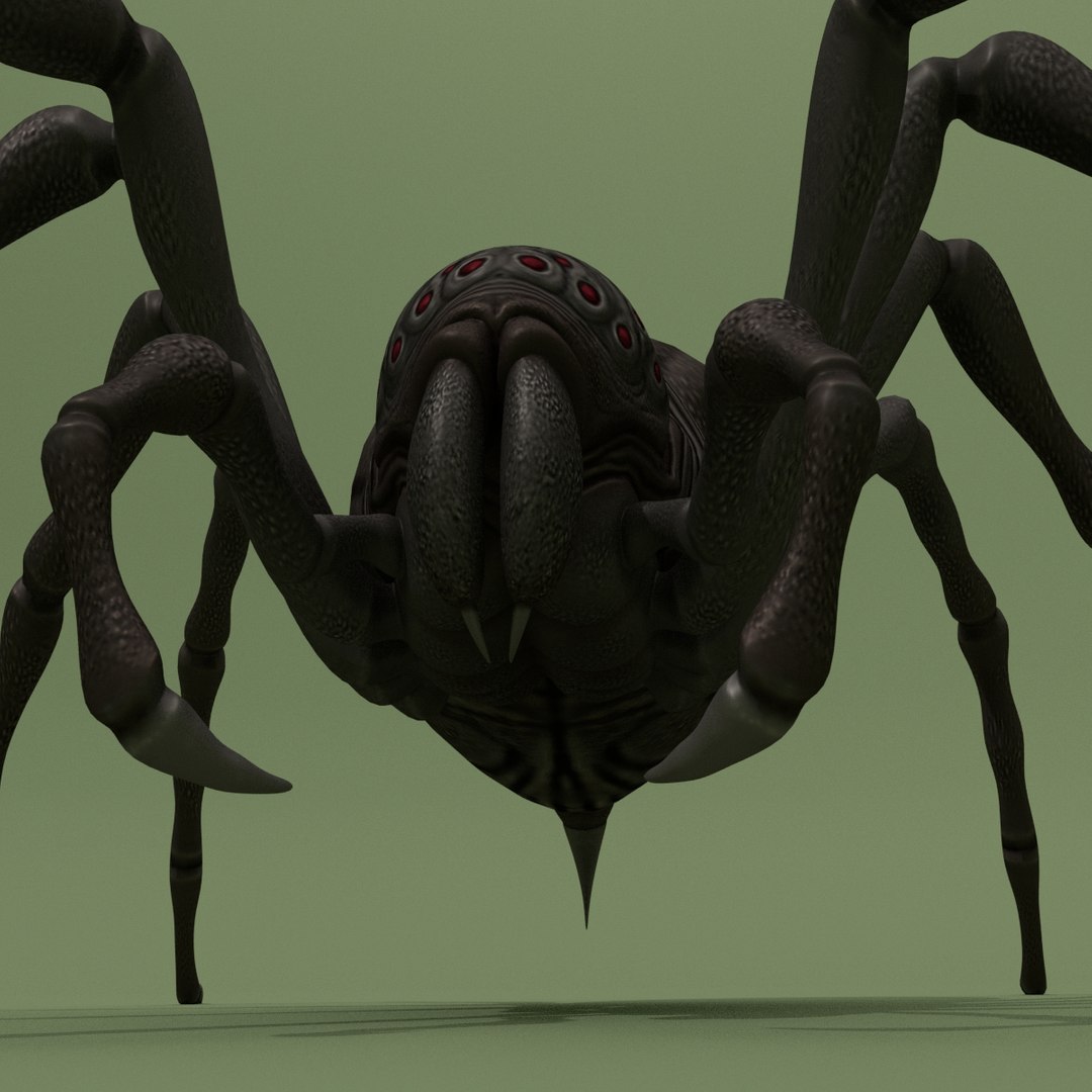Fantasy Spider 3D - TurboSquid 1176678