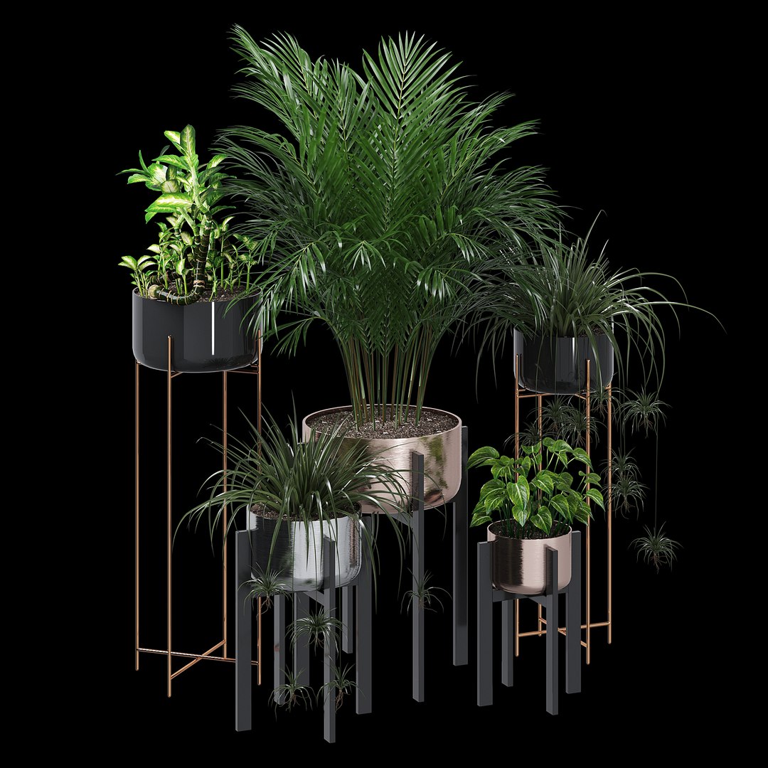 3D dash edge decor model https://p.turbosquid.com/ts-thumb/Nm/iguUAB/MBlGzhxE/dtree_3/jpg/1584990016/1920x1080/fit_q87/a4914d287062ead4662e1b96c7999e49710d2851/dtree_3.jpg